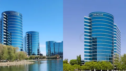 埃里森全球首富