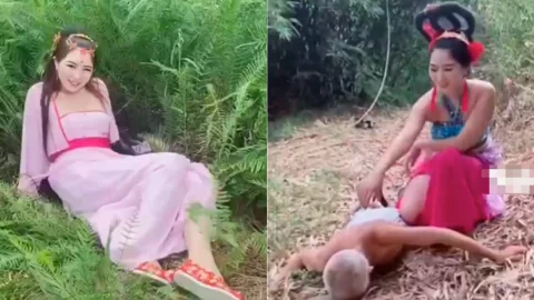 沈樵古装女鬼新作